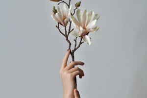Hands delicately holding a magnolia branch against a soft background, showcasing the beauty of nature.