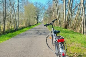 Bicycle resting on a rural road surrounded by spring trees, perfect for a peaceful ride.
