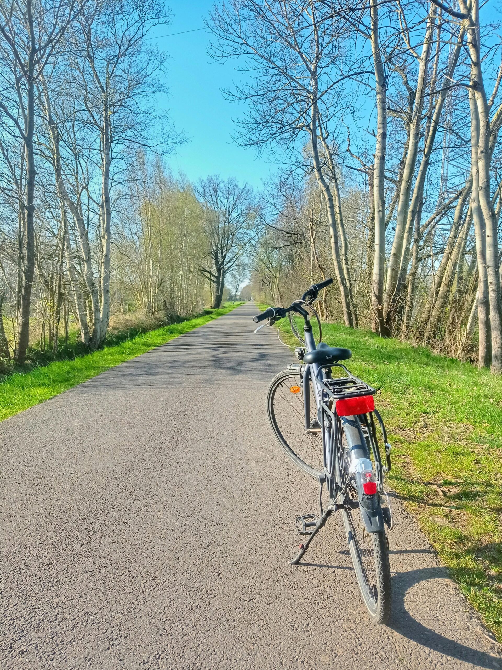 Bicycle resting on a rural road surrounded by spring trees, perfect for a peaceful ride.